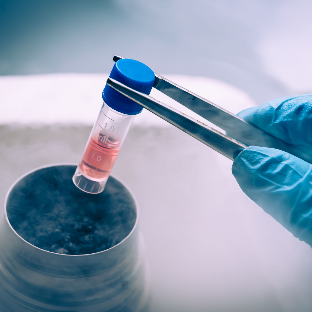 Best Surrogacy With Frozen Embroys Center in India