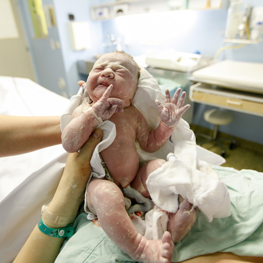 Best Surrogacy With Self Egg Center in India